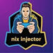 Nix Injector