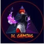 DL GAMING injector