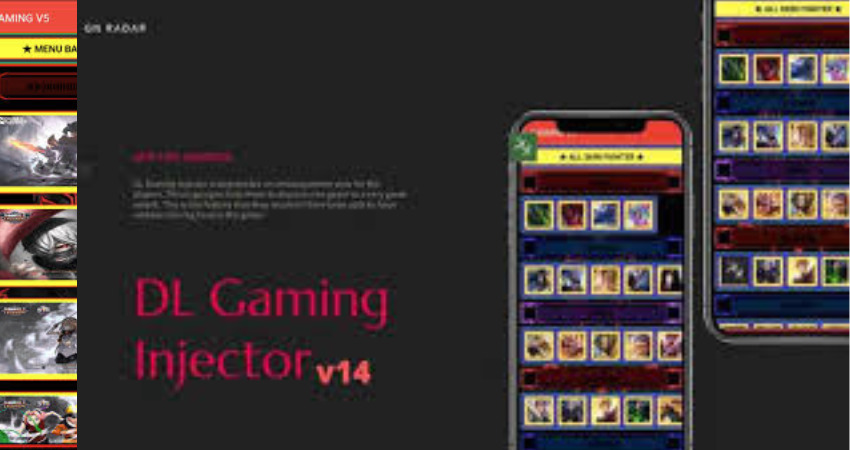 DL GAMING injector