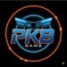 PK8 GAME